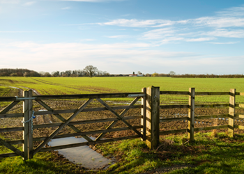 Equestrian Gates Reading